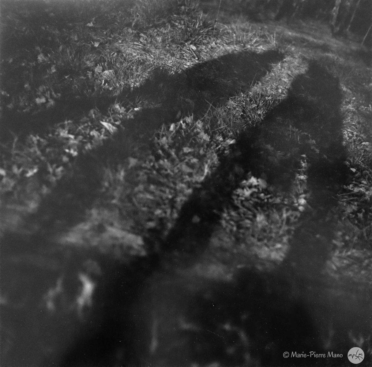 Ombre II Ombre II - Série Ombres