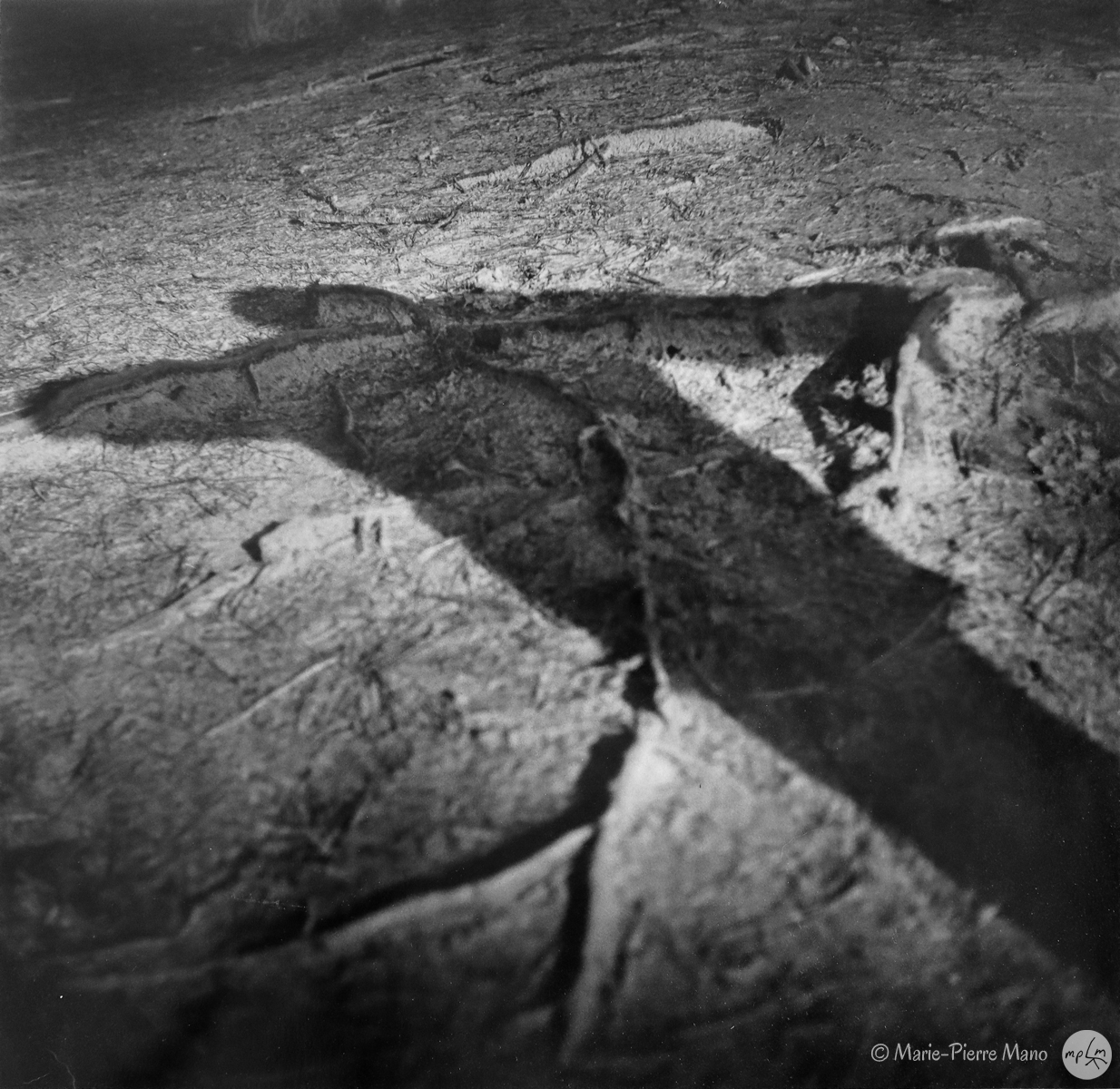 Ombre IV Ombre IV - Série Ombres