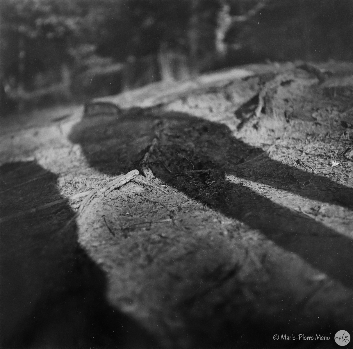 Ombre V Ombre V - Série Ombres