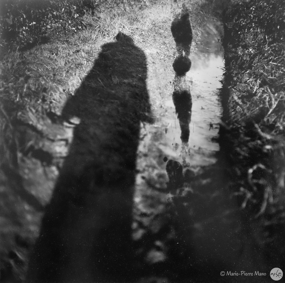 Ombre VI Ombre VI - Série Ombres