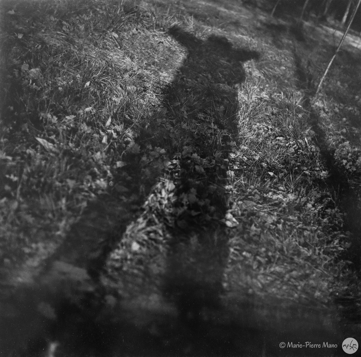 Ombre VII Ombre VII - Série Ombres