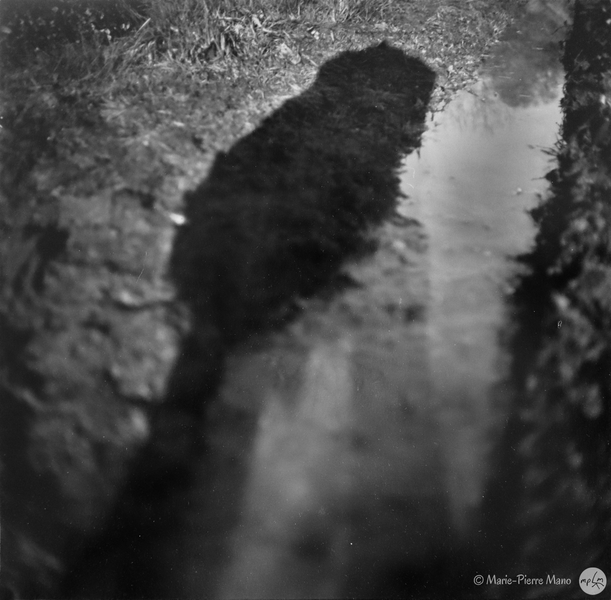 Ombre VIII Ombre VIII - Série Ombres